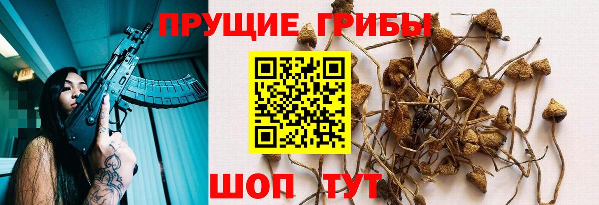Псилоцибиновые грибы MAGIC MUSHROOMS Ивантеевка