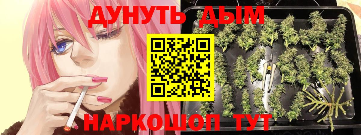 Ивантеевка  Бошки Шишки конопля  Марихуана индика  Марихуана VHQ  Бошки Шишки LSD WEED  Вход с VPN 