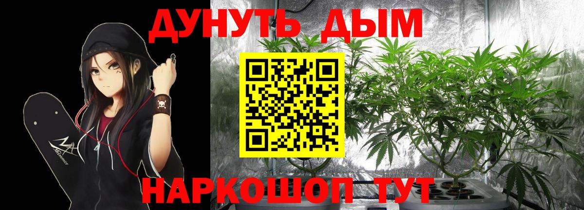 МАРИХУАНА семена Ивантеевка